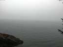 ./images/koeye/fitz-hugh/20170810/fitz-hugh20170810_092702.jpg