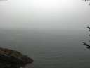 ./images/koeye/fitz-hugh/20170810/fitz-hugh20170810_095419.jpg