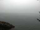 ./images/koeye/fitz-hugh/20170810/fitz-hugh20170810_095703.jpg