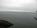 ./images/koeye/fitz-hugh/20170810/fitz-hugh20170810_105703.jpg