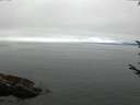 ./images/koeye/fitz-hugh/20170810/fitz-hugh20170810_115417.jpg