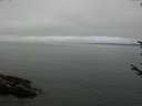 ./images/koeye/fitz-hugh/20170810/fitz-hugh20170810_121202.jpg