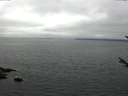 ./images/koeye/fitz-hugh/20170810/fitz-hugh20170810_135701.jpg