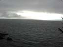 ./images/koeye/fitz-hugh/20170810/fitz-hugh20170810_175702.jpg