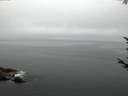 ./images/koeye/fitz-hugh/20170811/fitz-hugh20170811_055702.jpg