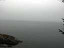 ./images/koeye/fitz-hugh/20170811/fitz-hugh20170811_075702.jpg