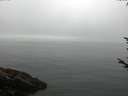 ./images/koeye/fitz-hugh/20170811/fitz-hugh20170811_095702.jpg