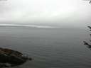 ./images/koeye/fitz-hugh/20170811/fitz-hugh20170811_115703.jpg