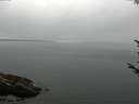 ./images/koeye/fitz-hugh/20170811/fitz-hugh20170811_121502.jpg