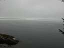 ./images/koeye/fitz-hugh/20170811/fitz-hugh20170811_122101.jpg
