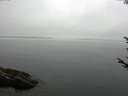 ./images/koeye/fitz-hugh/20170811/fitz-hugh20170811_122402.jpg