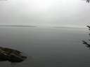 ./images/koeye/fitz-hugh/20170811/fitz-hugh20170811_122702.jpg