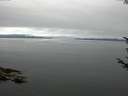./images/koeye/fitz-hugh/20170811/fitz-hugh20170811_135701.jpg