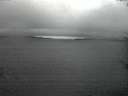 ./images/koeye/fitz-hugh/20170812/fitz-hugh20170812_052702.jpg