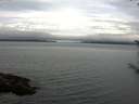 ./images/koeye/fitz-hugh/20170812/fitz-hugh20170812_075702.jpg