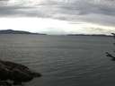 ./images/koeye/fitz-hugh/20170812/fitz-hugh20170812_115702.jpg