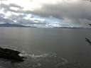 ./images/koeye/fitz-hugh/20171012/fitz-hugh20171012_122402.jpg