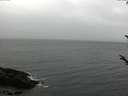./images/koeye/fitz-hugh/20171014/fitz-hugh20171014_150302.jpg