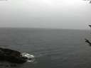 ./images/koeye/fitz-hugh/20171014/fitz-hugh20171014_153301.jpg
