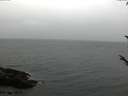 ./images/koeye/fitz-hugh/20171014/fitz-hugh20171014_160301.jpg