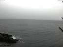 ./images/koeye/fitz-hugh/20171014/fitz-hugh20171014_163302.jpg