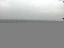 ./images/koeye/fitz-hugh/20171014/fitz-hugh20171014_170301.jpg