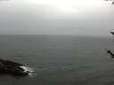 ./images/koeye/fitz-hugh/20171014/fitz-hugh20171014_173302.jpg
