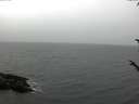 ./images/koeye/fitz-hugh/20171014/fitz-hugh20171014_180301.jpg