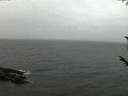 ./images/koeye/fitz-hugh/20171014/fitz-hugh20171014_190303.jpg