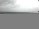 ./images/koeye/fitz-hugh/20171015/fitz-hugh20171015_122702.jpg