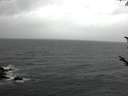 ./images/koeye/fitz-hugh/20171015/fitz-hugh20171015_123301.jpg