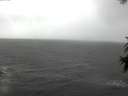./images/koeye/fitz-hugh/20171016/fitz-hugh20171016_120302.jpg