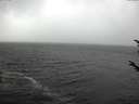 ./images/koeye/fitz-hugh/20171016/fitz-hugh20171016_122102.jpg