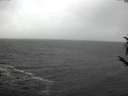 ./images/koeye/fitz-hugh/20171016/fitz-hugh20171016_122401.jpg