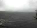 ./images/koeye/fitz-hugh/20171016/fitz-hugh20171016_123302.jpg