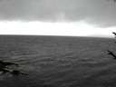 ./images/koeye/fitz-hugh/20171016/fitz-hugh20171016_140301.jpg