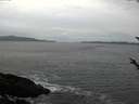 ./images/koeye/fitz-hugh/20171017/fitz-hugh20171017_180302.jpg