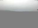 ./images/koeye/fitz-hugh/20180228/fitz-hugh20180228_080303.jpg