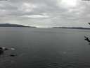 ./images/koeye/fitz-hugh/20180305/fitz-hugh20180305_160302.jpg