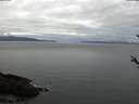 ./images/koeye/fitz-hugh/20180306/fitz-hugh20180306_080302.jpg