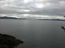 ./images/koeye/fitz-hugh/20180306/fitz-hugh20180306_103301.jpg