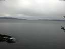 ./images/koeye/fitz-hugh/20180308/fitz-hugh20180308_080302.jpg