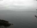 ./images/koeye/fitz-hugh/20180308/fitz-hugh20180308_122402.jpg