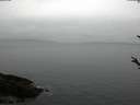 ./images/koeye/fitz-hugh/20180308/fitz-hugh20180308_123301.jpg