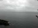 ./images/koeye/fitz-hugh/20180308/fitz-hugh20180308_140302.jpg