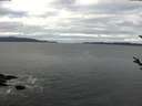 ./images/koeye/fitz-hugh/20180310/fitz-hugh20180310_080302.jpg