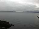 ./images/koeye/fitz-hugh/20180320/fitz-hugh20180320_080302.jpg