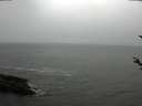 ./images/koeye/fitz-hugh/20180320/fitz-hugh20180320_122702.jpg