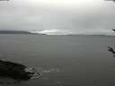 ./images/koeye/fitz-hugh/20180321/fitz-hugh20180321_122702.jpg