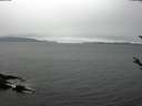 ./images/koeye/fitz-hugh/20180321/fitz-hugh20180321_140303.jpg